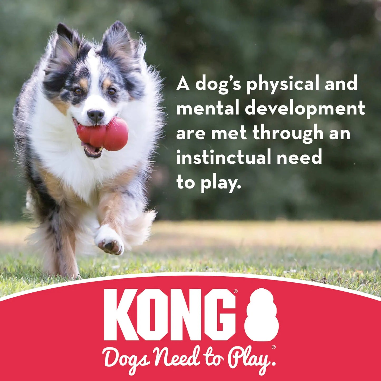 Kong Extreme Dog Ball