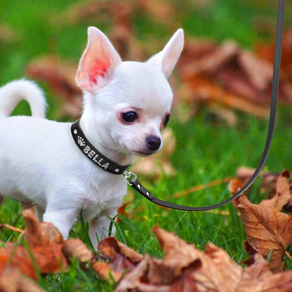 Personalized Rhinestone Dog Collar & Leash Set