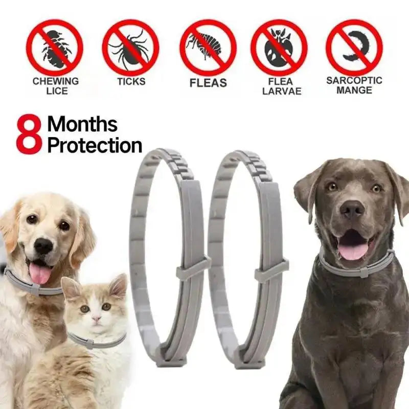 2/3Pc Tick Collar for Dogs and Cats 🐶🐱