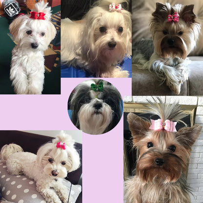 Dog Hair Accessories