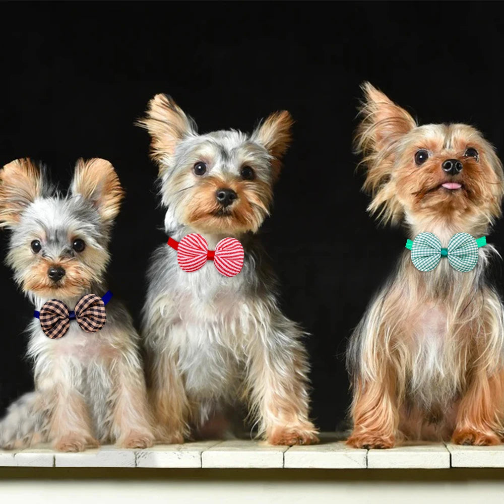 Pet Bow Ties for Dogs and Cats 🎀🐾