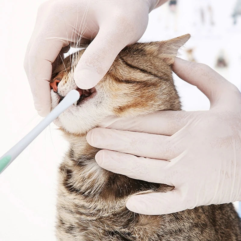 Soft Tooth Brush For Pet