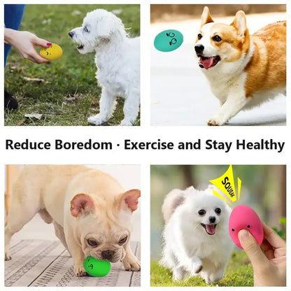 Egg-Shaped Squeaky Dog Toy Balls 🐶🎾