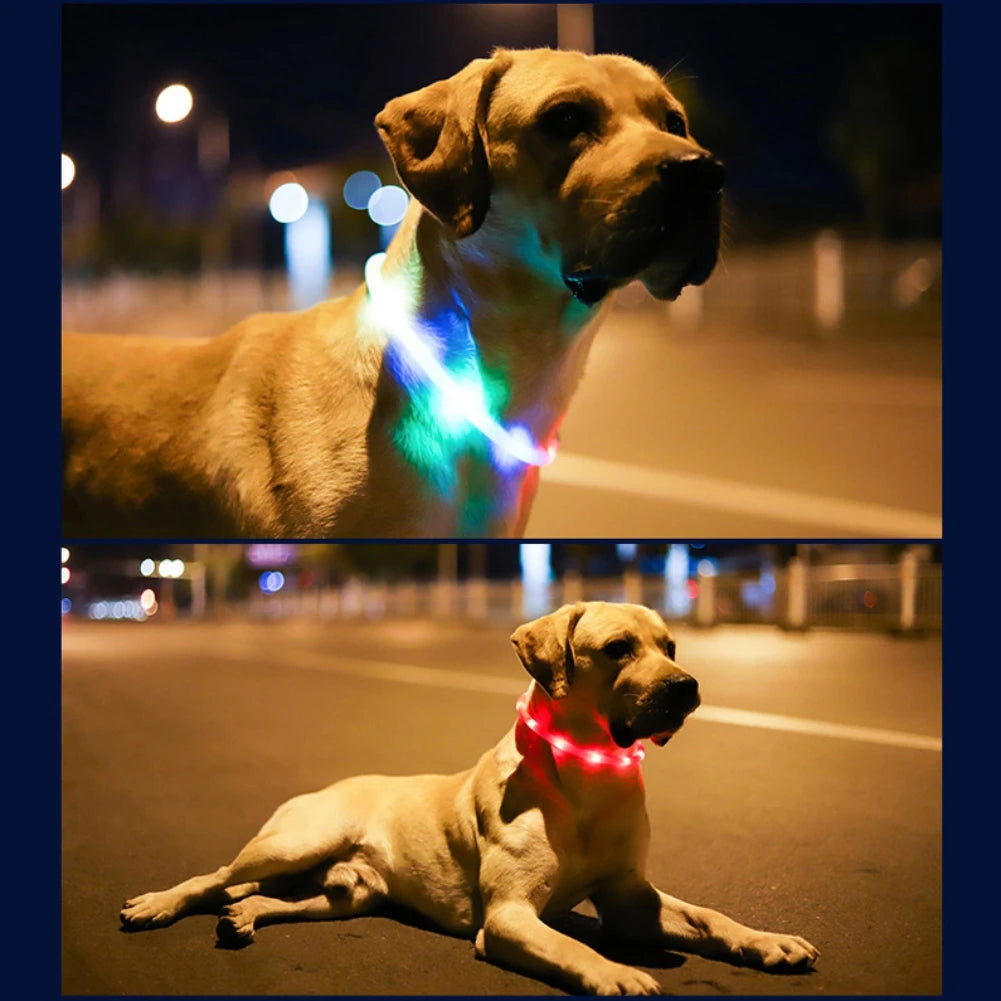 USB Charging LED Flashing Dog &amp; Cat Collar 🌟🐕🐱