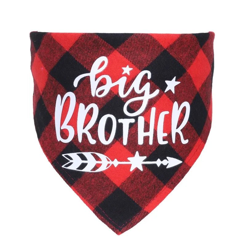 Big Brother Plaid Dog Bandana