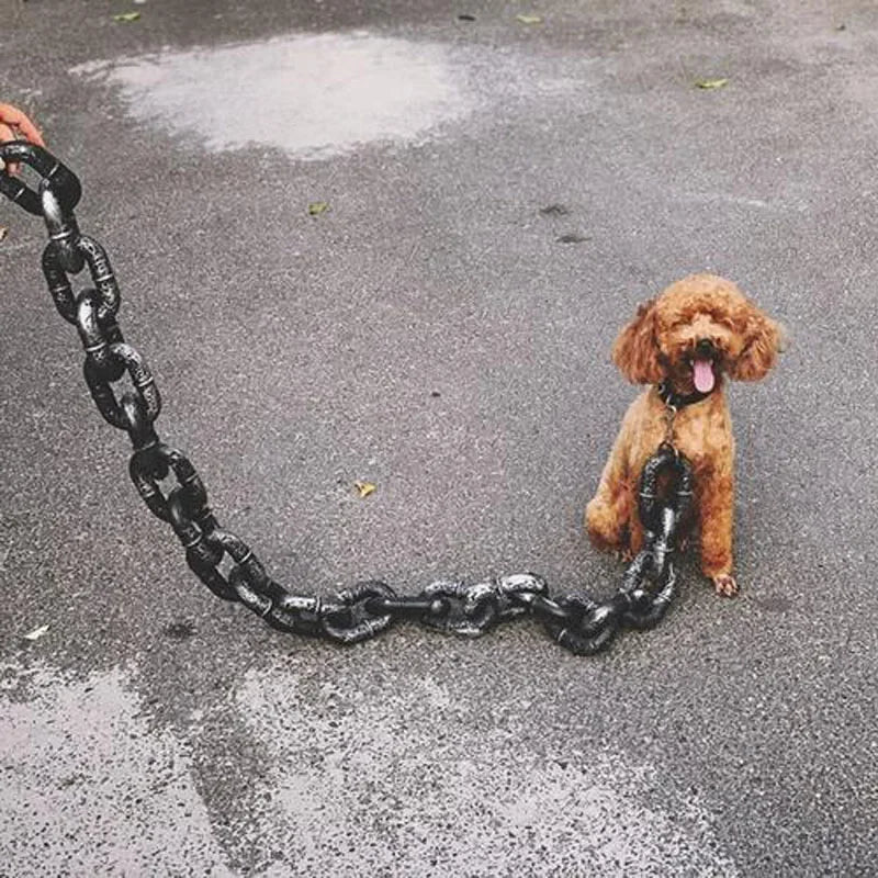 Personalized Dog Leash