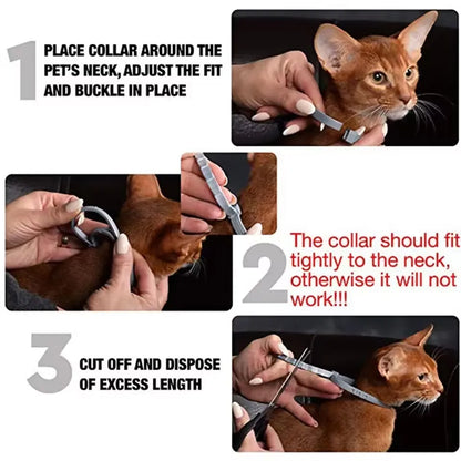 2/3Pc Tick Collar for Dogs and Cats 🐶🐱