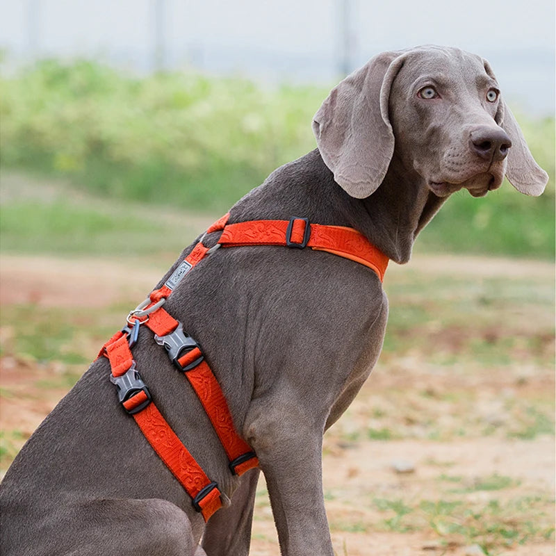 Premium Dog Harness