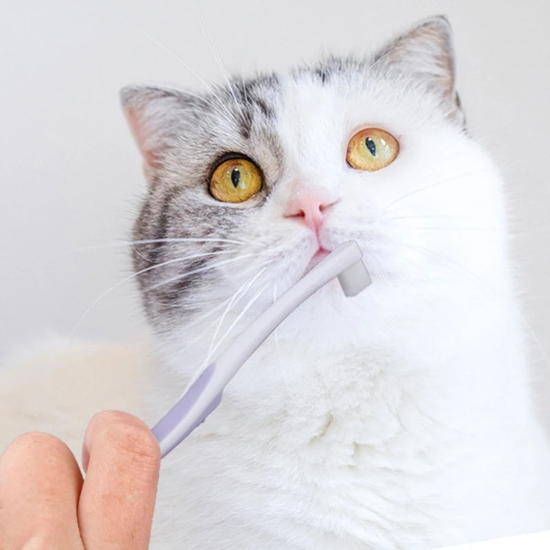 Soft Tooth Brush For Pet