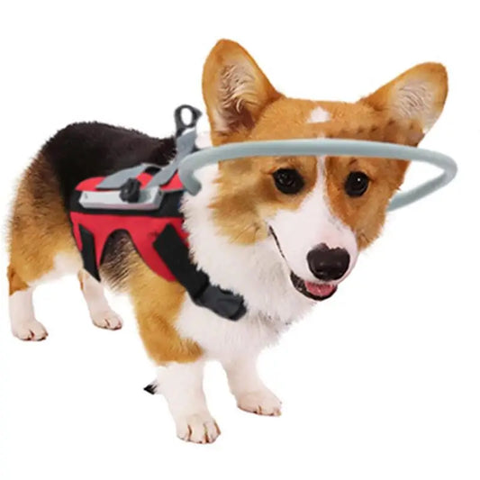 Blind Dog Halo & Harness Set