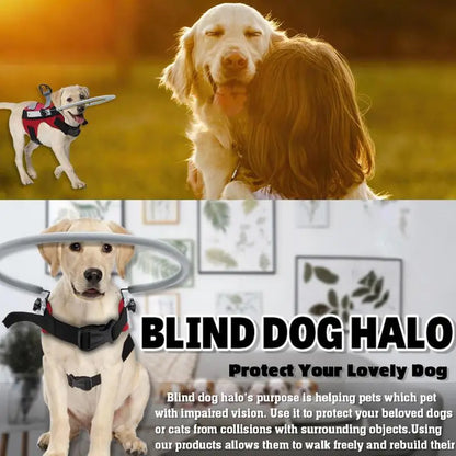 Blind Dog Halo & Harness Set